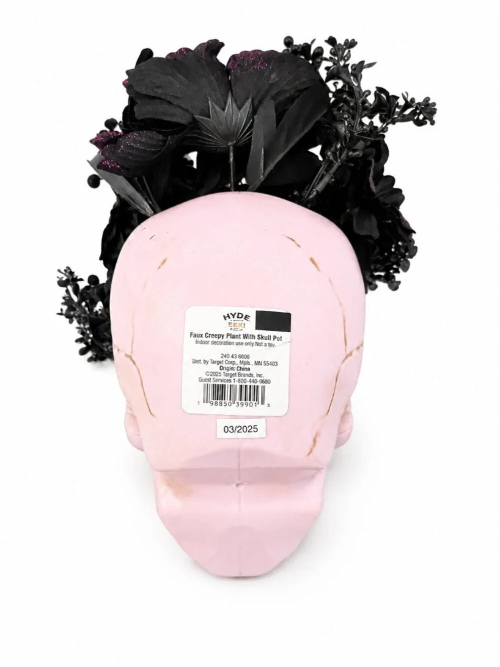 Hyde & EEK! Boutique Faux Creepy Plant Skull Pot Halloween Decor Target 10